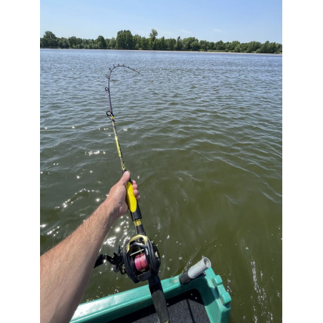 Baitcast Ruten Black Cat Perfect Passion Allstar