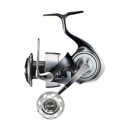 Spinnrollen Daiwa Certate 24 ARK