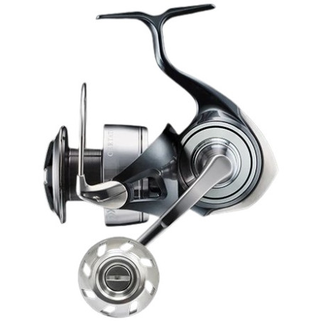 Spinnrollen Daiwa Certate 24 ARK