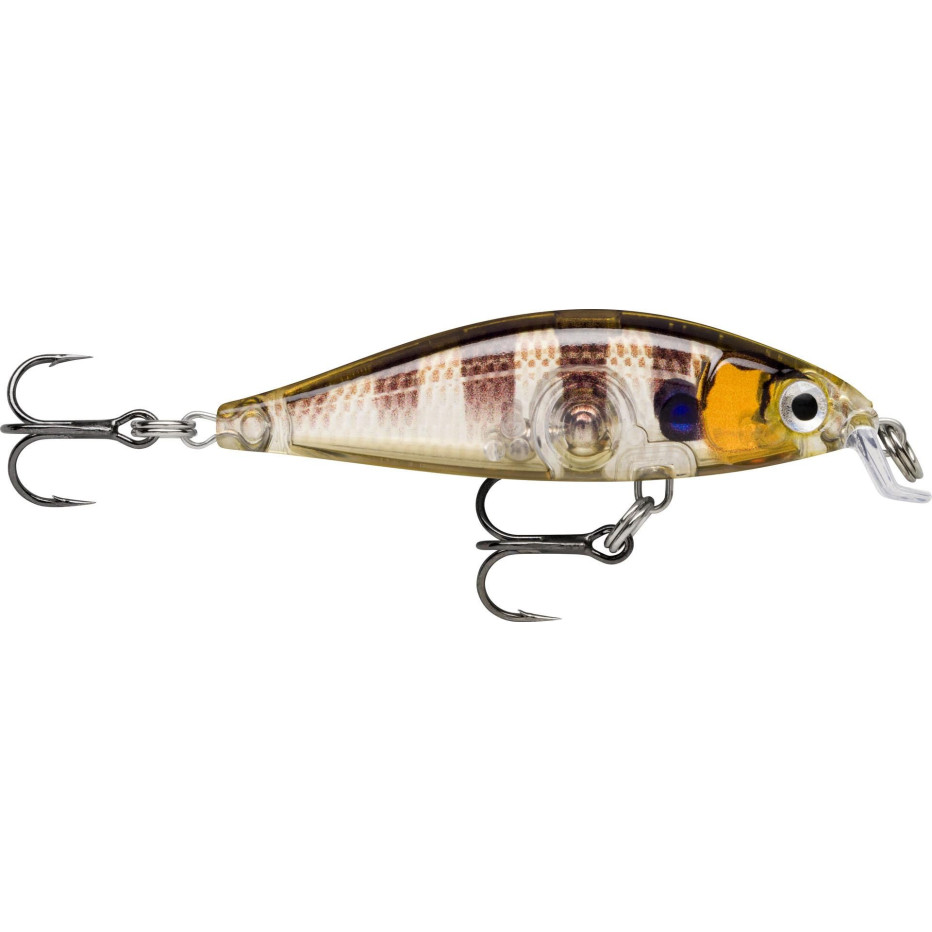 Poisson Nageur Rapala X-Light Minnow 5cm
