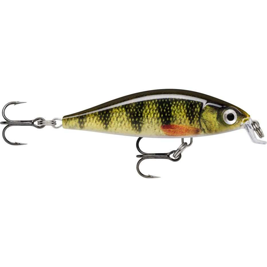 Poisson Nageur Rapala X-Light Minnow 5cm