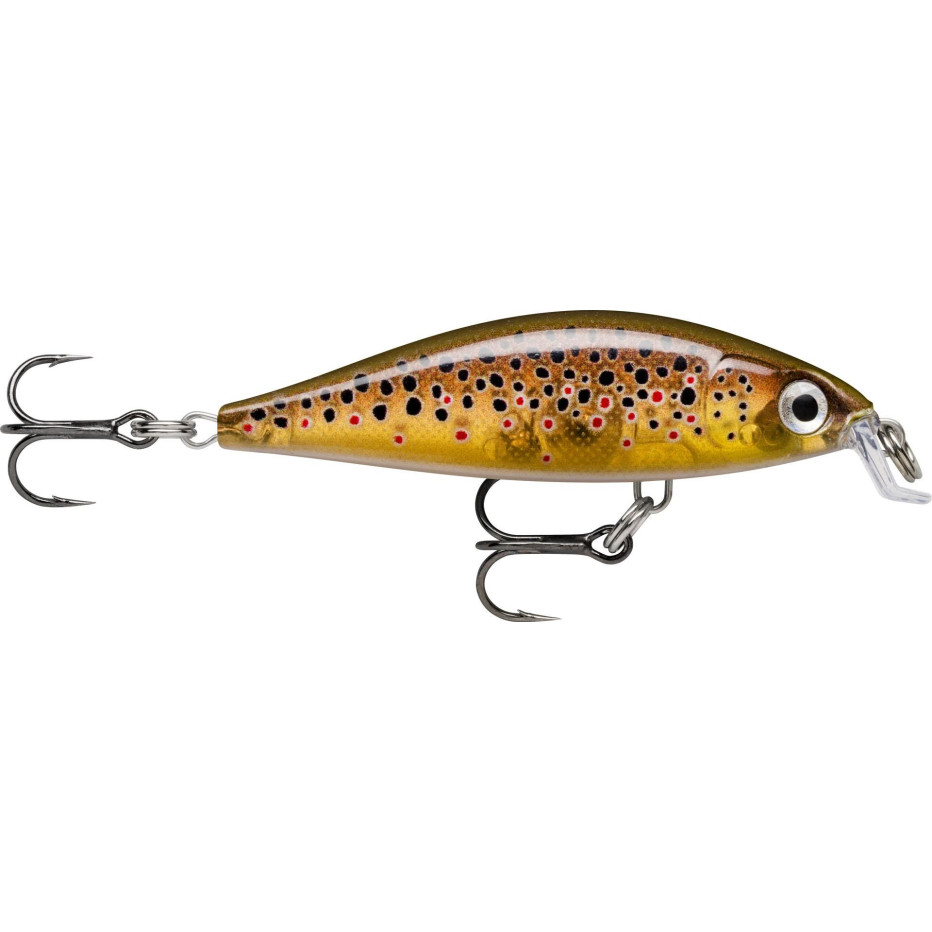 Poisson Nageur Rapala X-Light Minnow 5cm