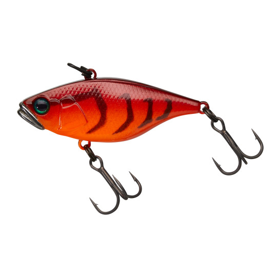 Poisson Nageur Illex TN 38