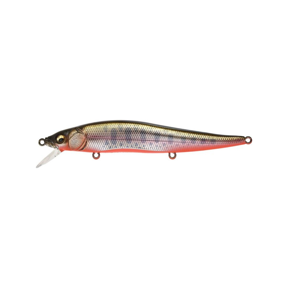 Poisson Nageur Megabass Vision Oneten 110 FW
