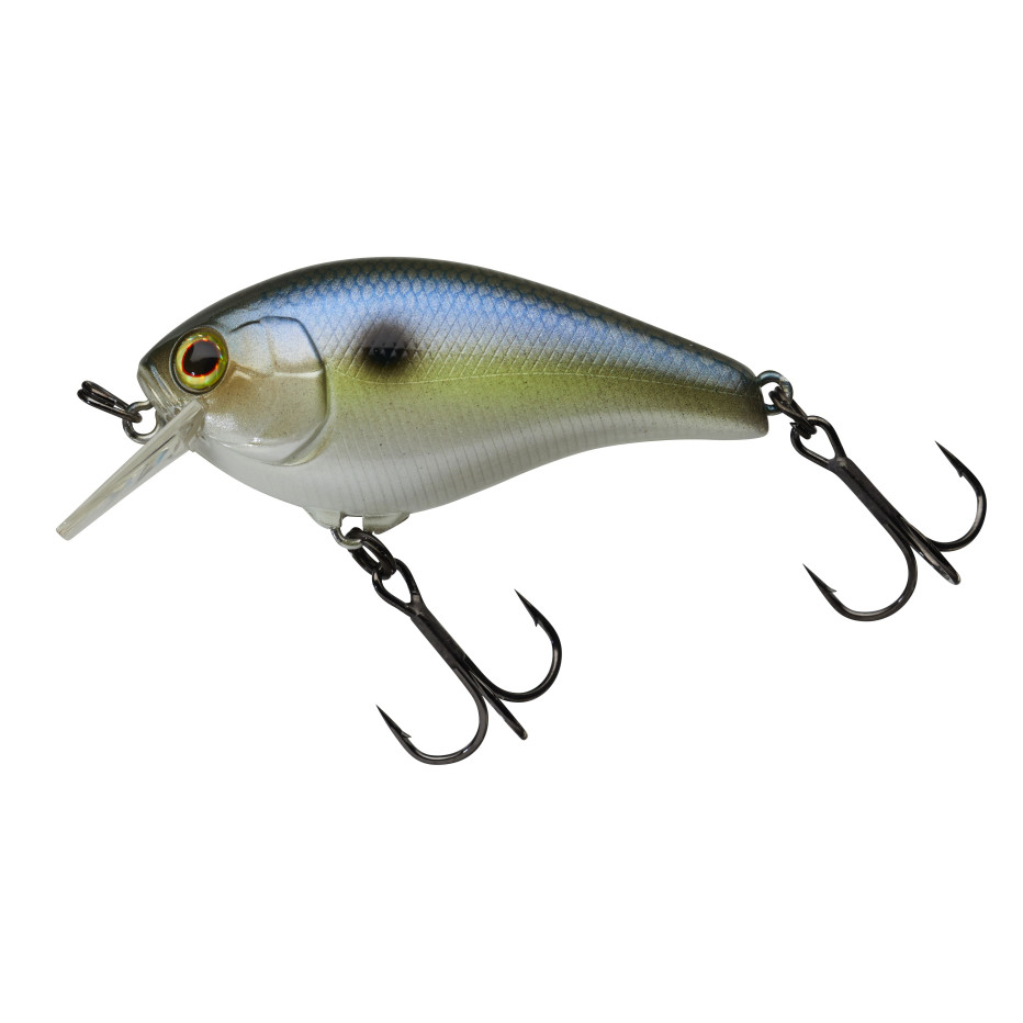 Hard bait Illex Aska 60 SR