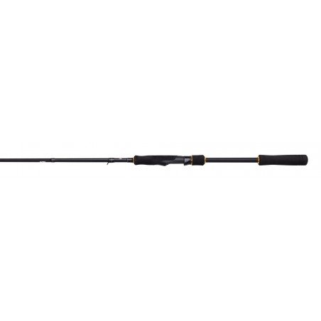 Spinning Combo Penn Wrath II Labrax
