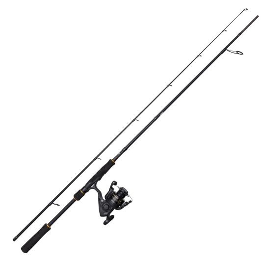 Spinning Combo Penn Wrath II Labrax