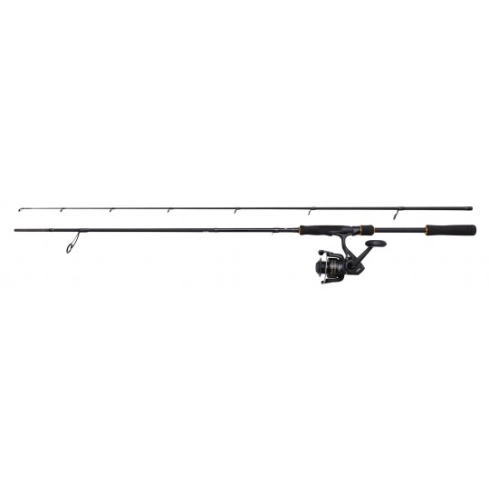 Spinning Combo Penn Wrath II Labrax