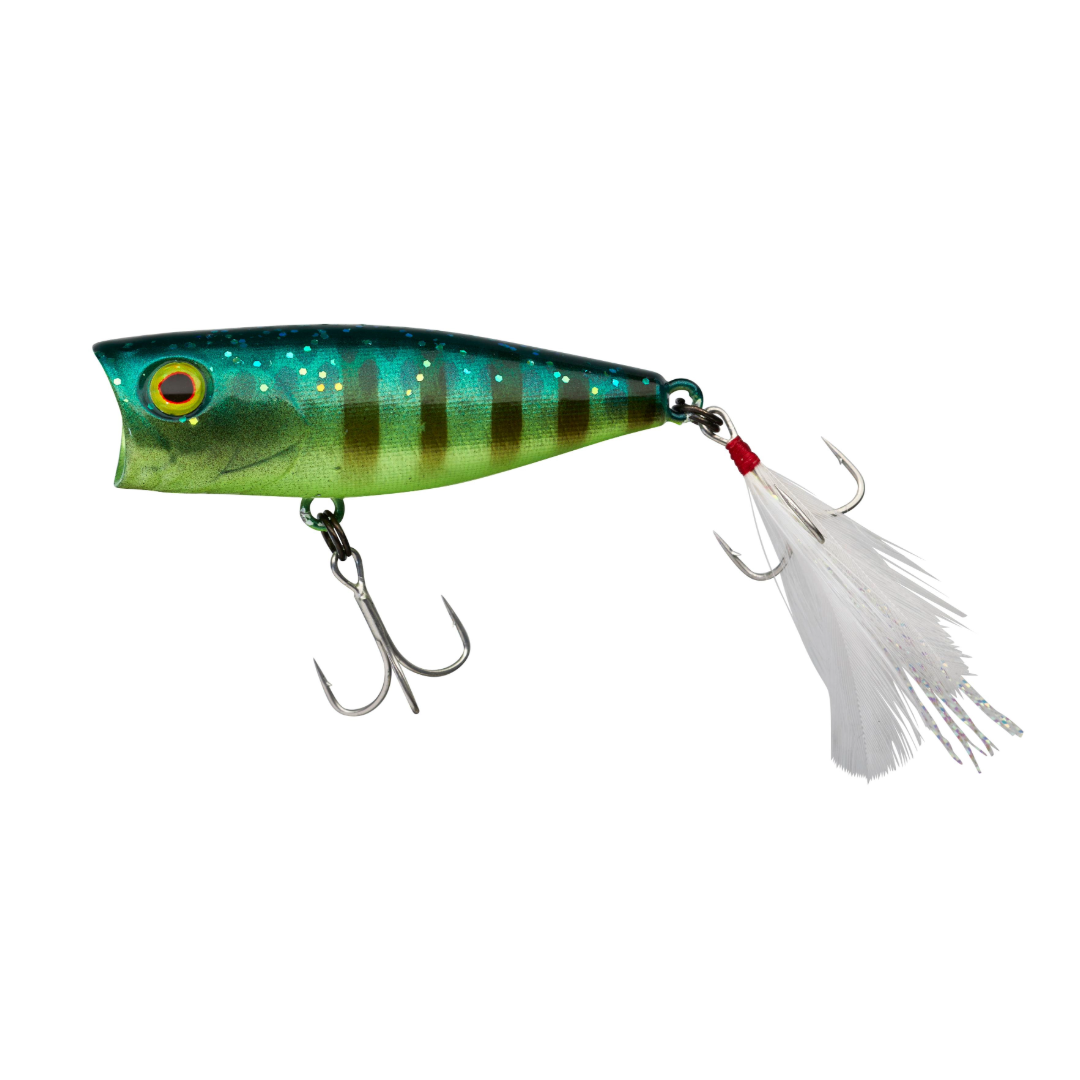 Leurre Souple Jackall Yammy Fish 3 Pouces – Green Pumpkin Pepper – 5 Pièces