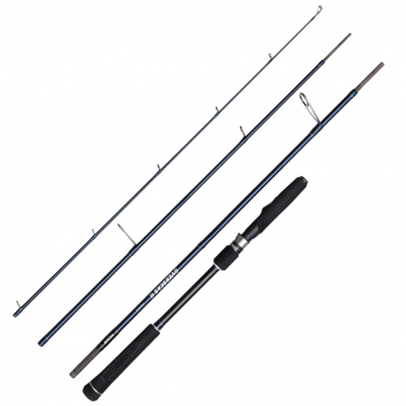 Rod Travel Penn Overseas II Inshore