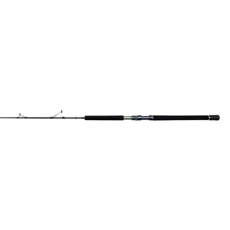 Spinning Rod Penn Battalion Solid Tuna Broumé LR