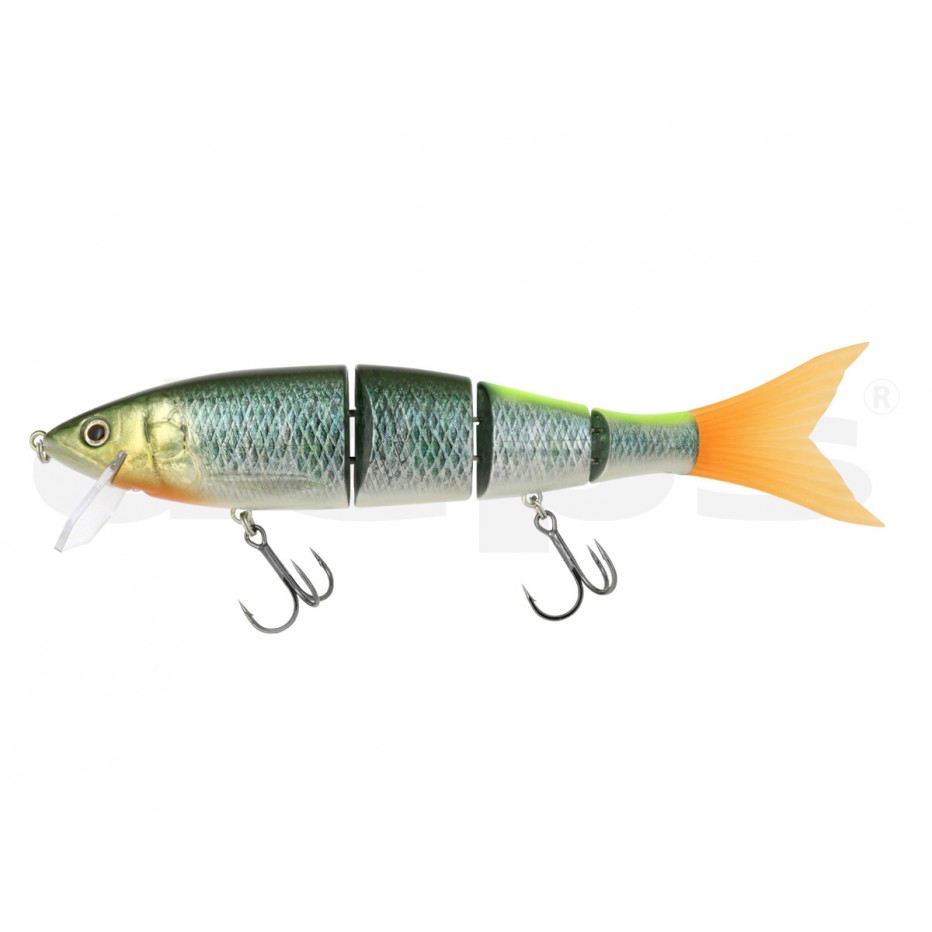 Poisson Nageur Deps Highsider 220