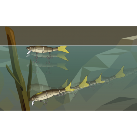 Poisson Nageur Deps Highsider 220