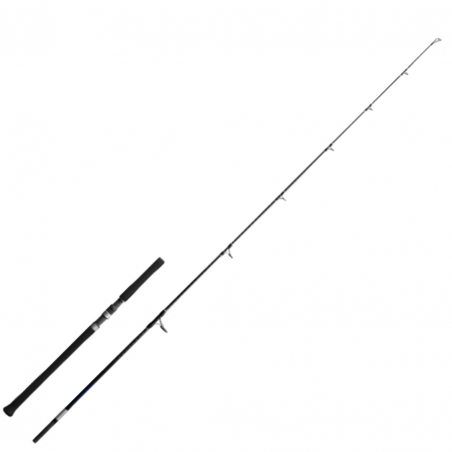 Caña Casting Shimano Grappler BB Tipo C