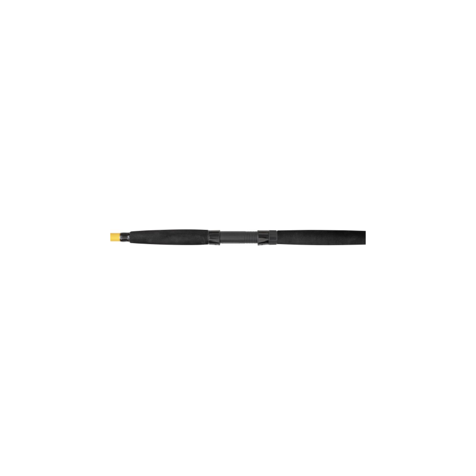 Canne à Pêche Black Cat Black Passion G2 - 240 Cm, 50-200g, Pour La Pêche Au Lancer (2 Pièces)