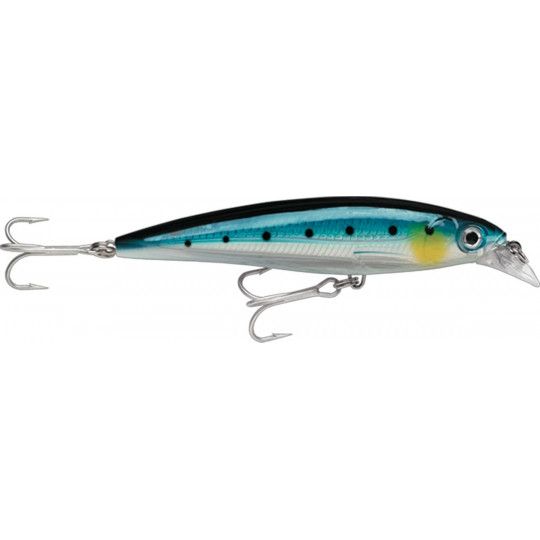 Leurre Rapala X-Rap Saltwater 10cm