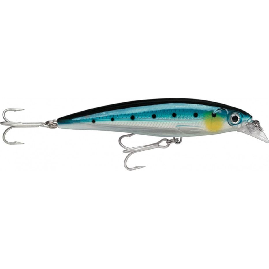 Leurre Rapala X-Rap Saltwater 10cm