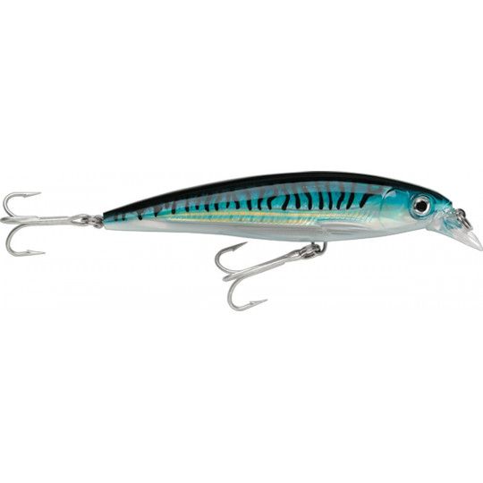 Leurre Rapala X-Rap Saltwater 10cm