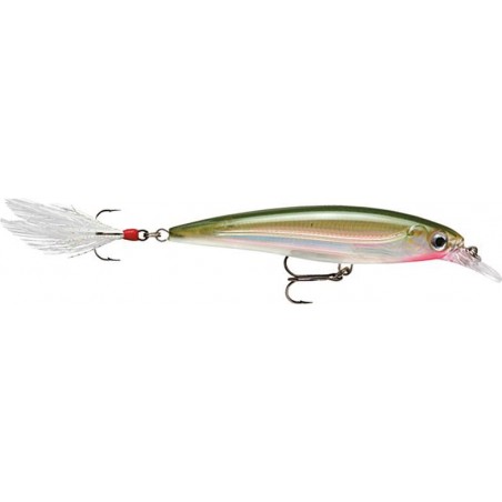 Lure Rapala X-Rap 8cm - Suspending Minnow fish