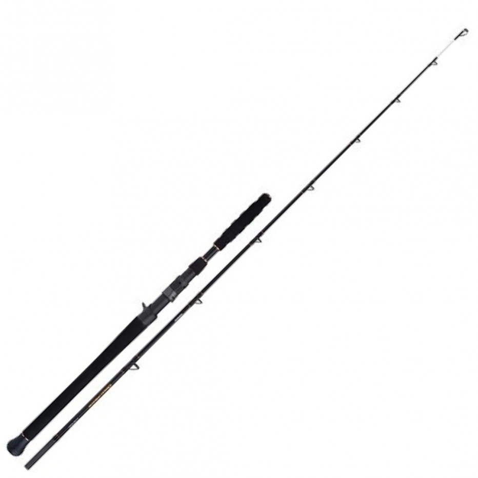 Baitcast Ruten Shimano Beastmaster AX Wels Vertikal