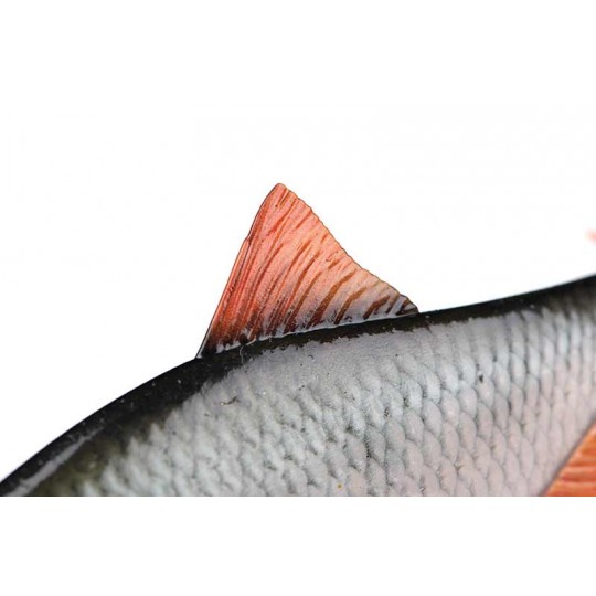 Gummifische Fox Rage Replicant Ultra-Realistischer Rotfeder