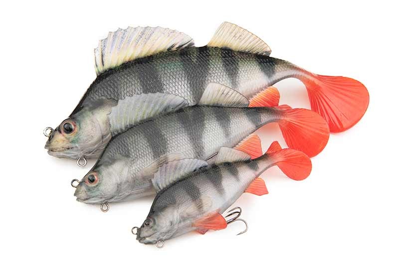Fox Rage Lot De 4 Leurres Souples Pour Perche Et Truite – 4 Cm, 3 G – Montés, Couleurs UV – Pour Jigging Léger