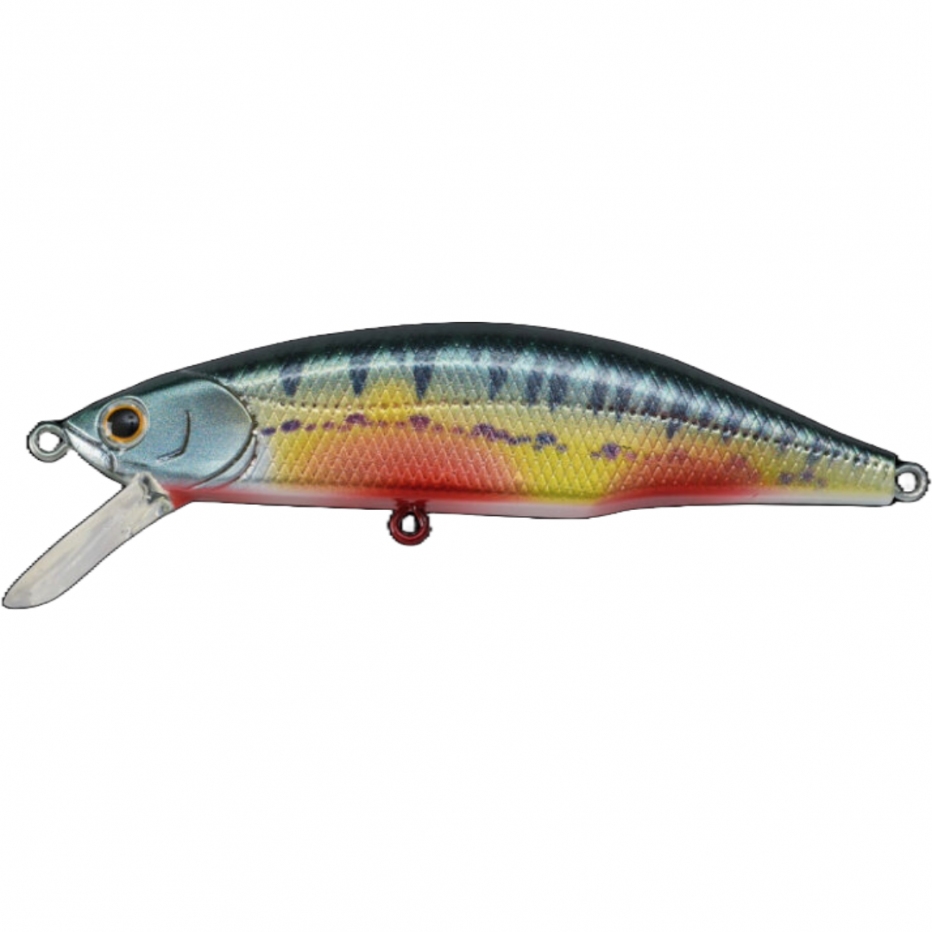 Wobbler Jackson Meteora 52