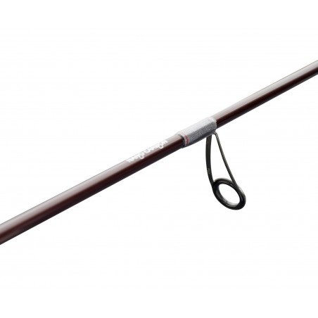 Canne Spinning Abu Garcia Aion Ains