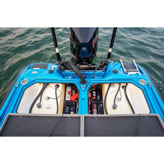 Bass Boot Bass Cat Puma STS