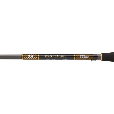 Spinning Rod Daiwa Morethan Branzino Expert