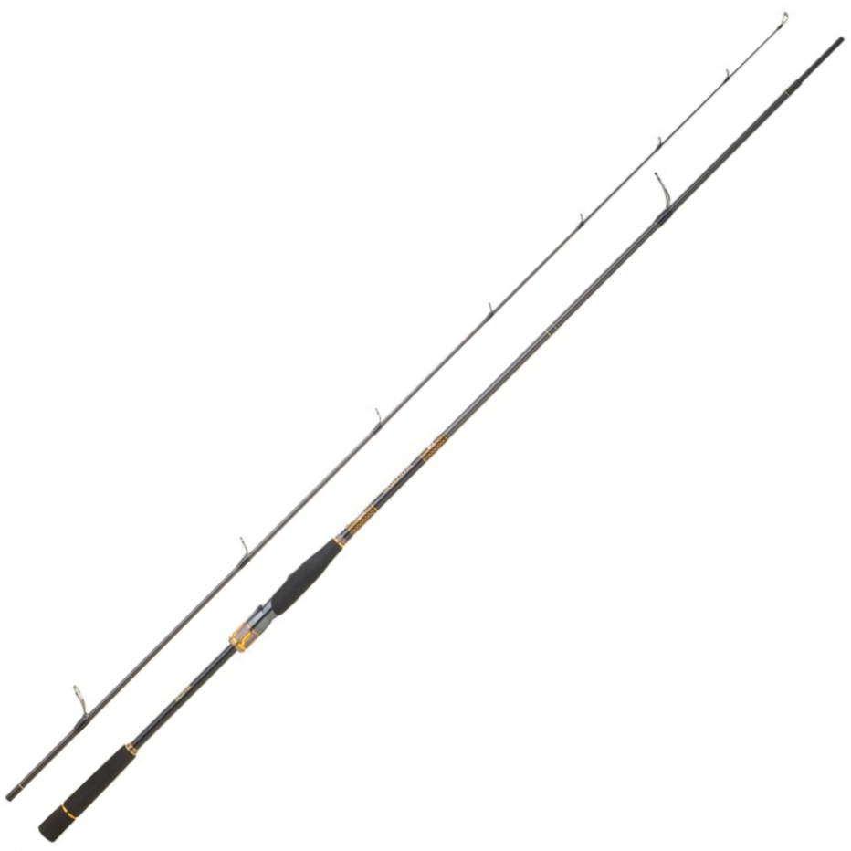 Spinnruten Daiwa Morethan Branzino Expert