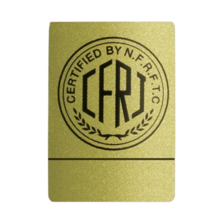 Spinnruten Evergreen Salty Superior Der Scout Master 70L T