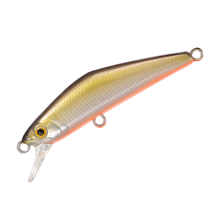 Poisson Nageur Smith D Compact 45 FES