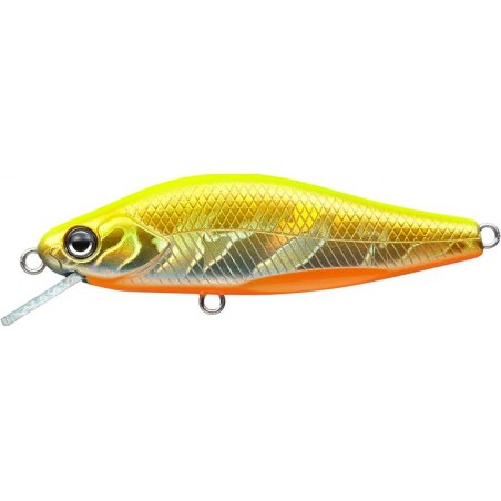 Poisson Nageur Evergreen Nelmezzo 50 FS