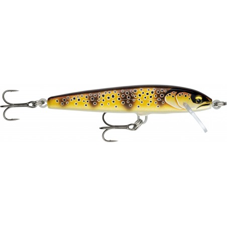 Poisson Nageur Rapala Floater Elite 8,5cm