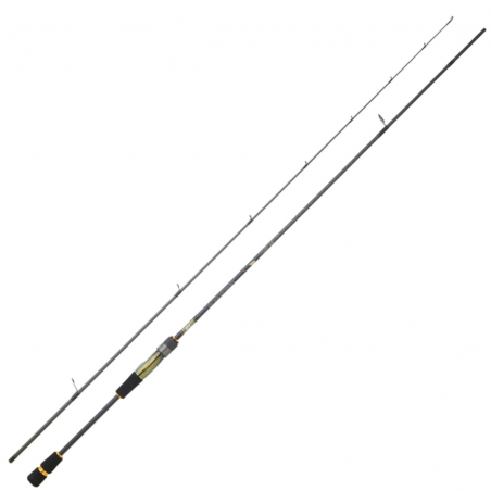 Spinnruten Daiwa Crosscast RF 24