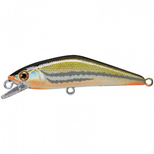 Poisson Nageur Smith D-Contact 63 FES