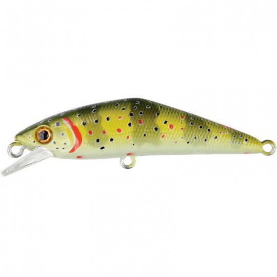 Poisson Nageur Smith D-Contact 63 FES