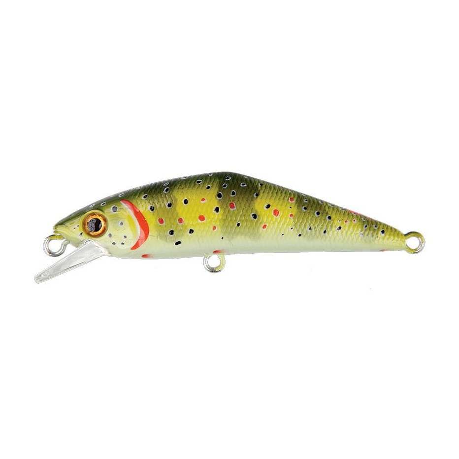Poisson Nageur Smith D-Contact 63 FES