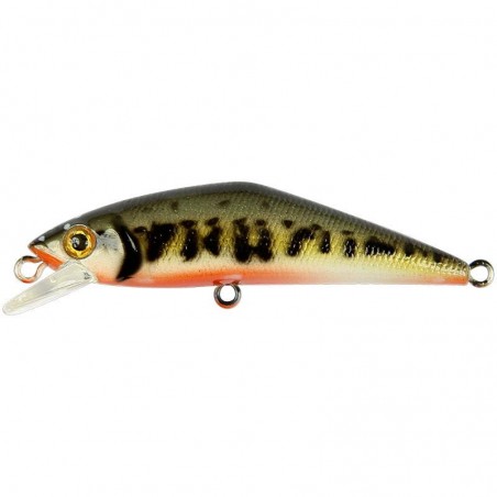 Poisson Nageur Smith D-Contact 63 FES