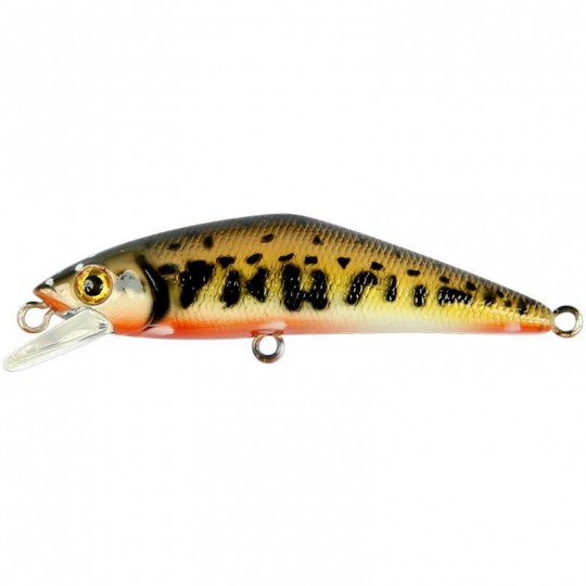 Poisson Nageur Smith D-Contact 63 FES