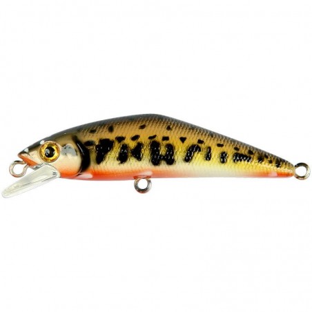 Poisson Nageur Smith D-Contact 63 FES