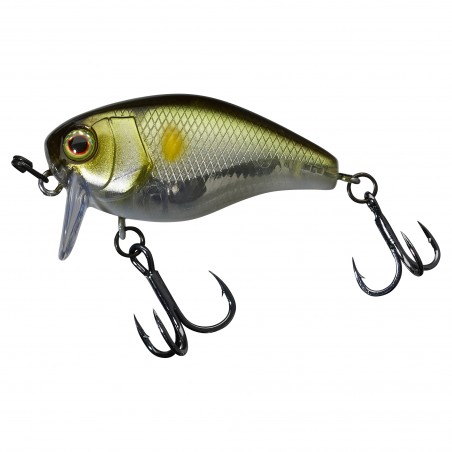 Poisson Nageur Illex Chubby 41 SSR