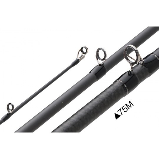 Baitcast Ruten Graphiteleader Vigore