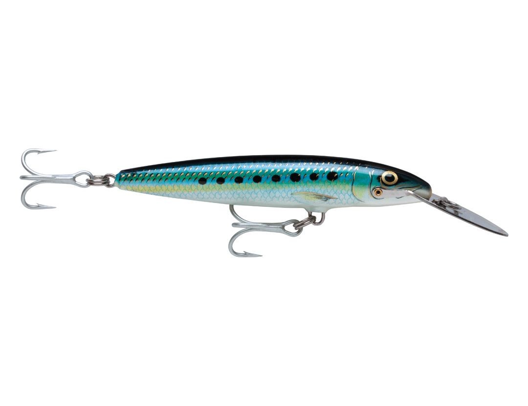 Leurre Rapala Flash-X Skitter 220mm - Fiche Produit Top Fishing