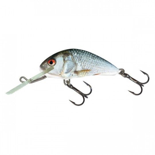 Poisson Nageur Salmo Hornet Floating 4cm