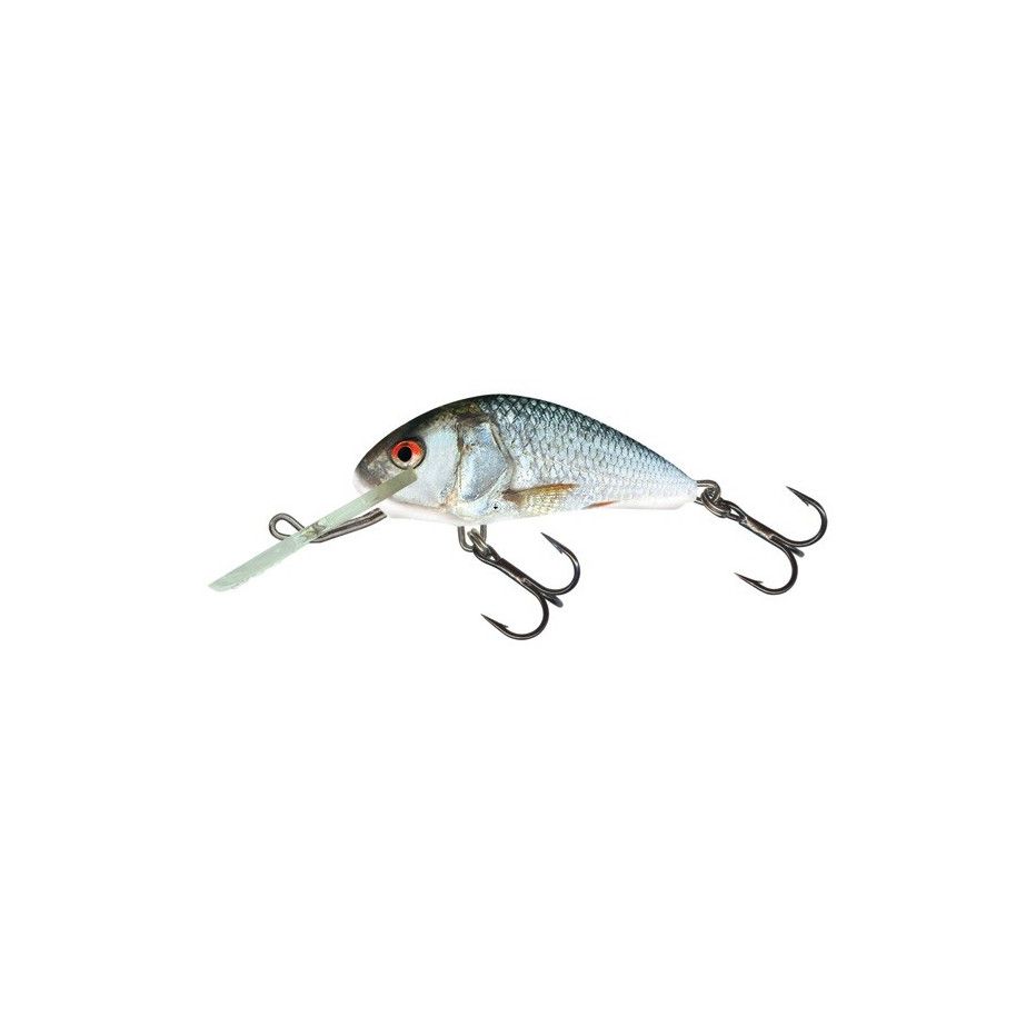 Wobbler Salmo Hornet Floating 4cm
