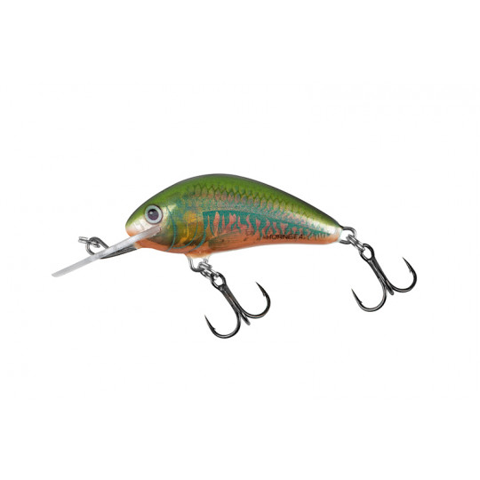 Señuelo Duro Salmo Hornet Flotante 4cm