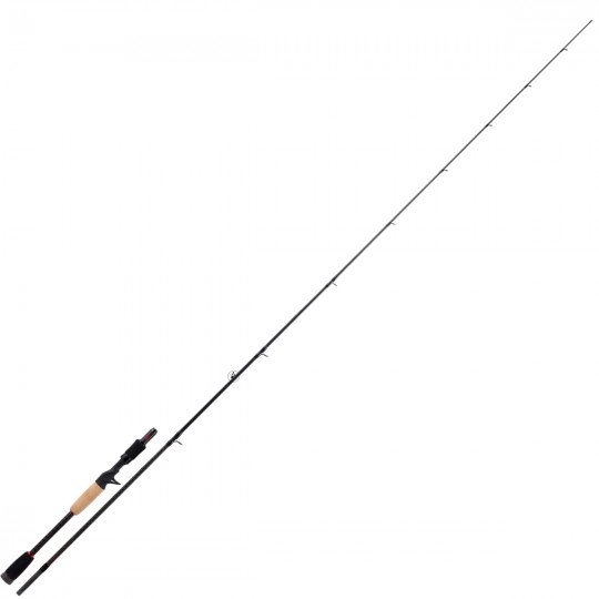Baitcast Ruten Smith Dragonbait NX4 FH Klasse 210