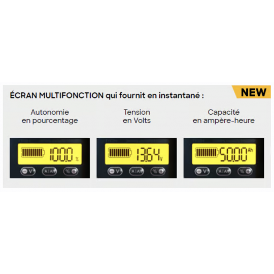 Lithium Battery Case BSR ECO 24V/100 Ah With Charger